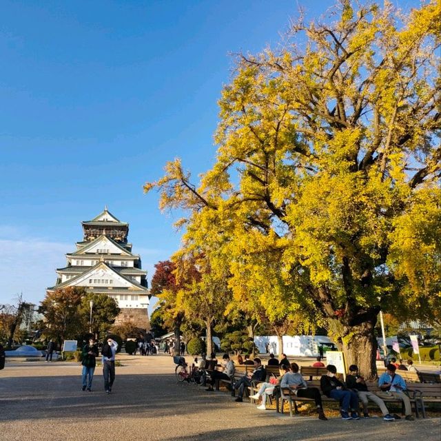 【大阪 中央区】輝く大阪城🏯✨🏯✨