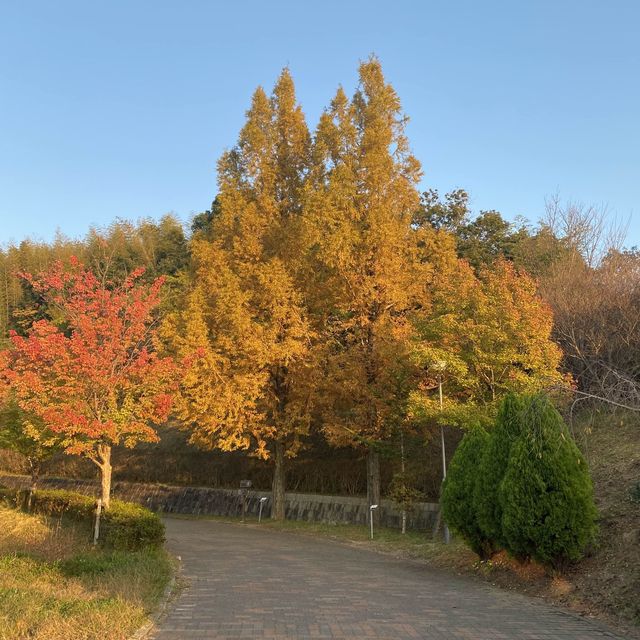 ✨四季の郷公園✨　道の駅