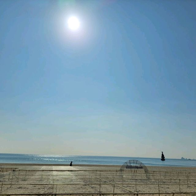 해운대오륙도유람선