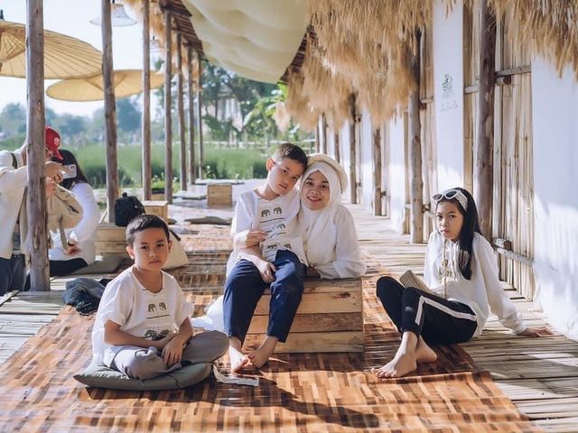 ชมสวนดอกไม้🌸🌼🌺เชียงใหม่
