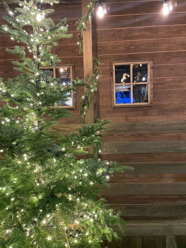 크리스마스트리 사진 명소는 삼성역 현대백화점🎄