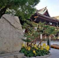 300年的歷史的古蹟 八坂神社