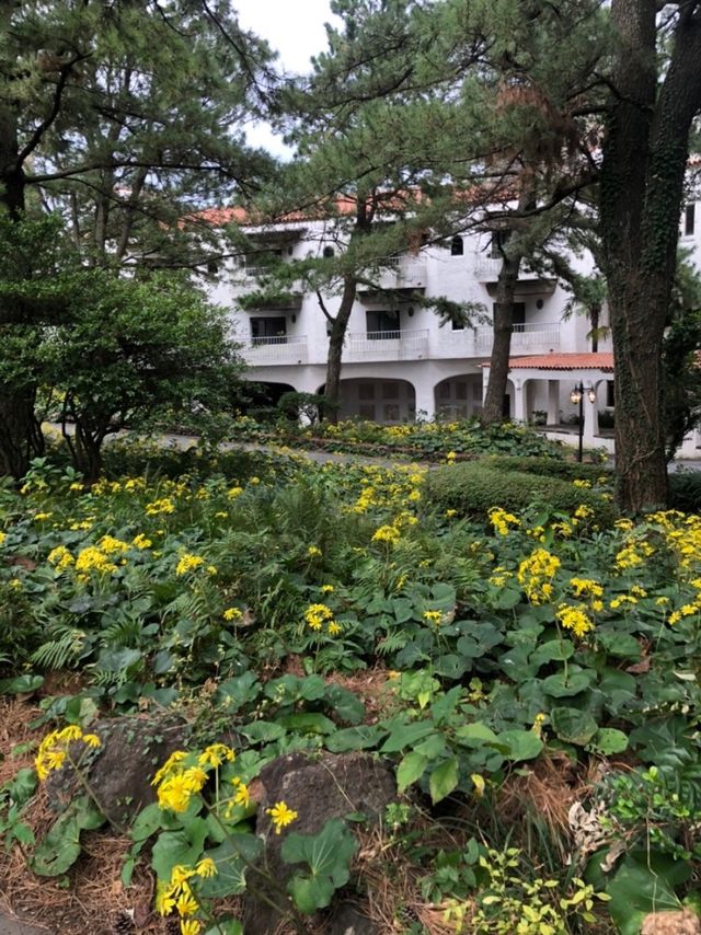제주 허니문 카페