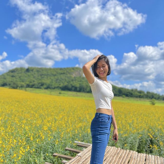 ไปเที่ยวทุ่งดอกปอเทือง ที่สวยที่สุดในประเทศไทย ❤️