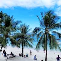 宿霧🏝️Alona Beach 一家海景🇬🇷餐廳