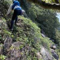 行山 「一樹洞 」沿途驚險