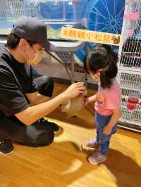 寵物嘉年華：與小動物近距離接觸互動