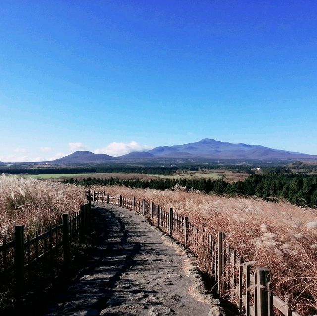 여유로운 산책을 원한다면 제주도 산굼부리로👍👍