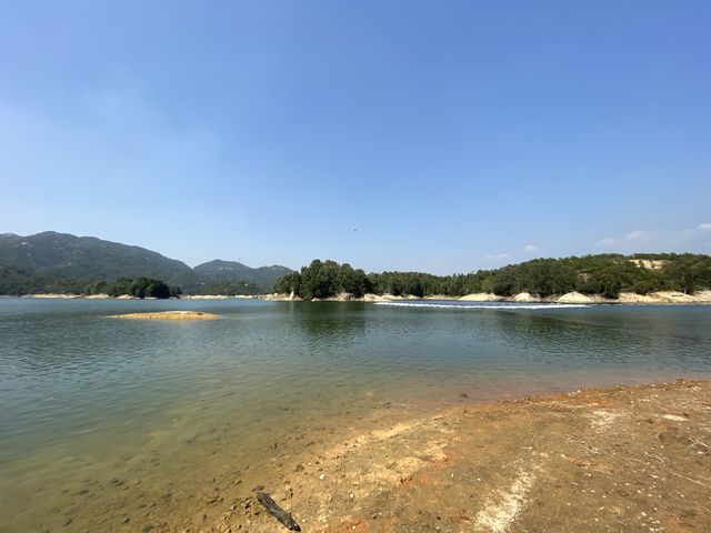 大欖水塘