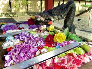 There are lots of things to see, including the flower water fountain!