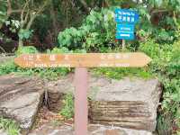 東平洲環島遊