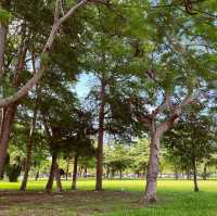 超大公園綠地｜大義公園｜裝置藝術好拍好可愛