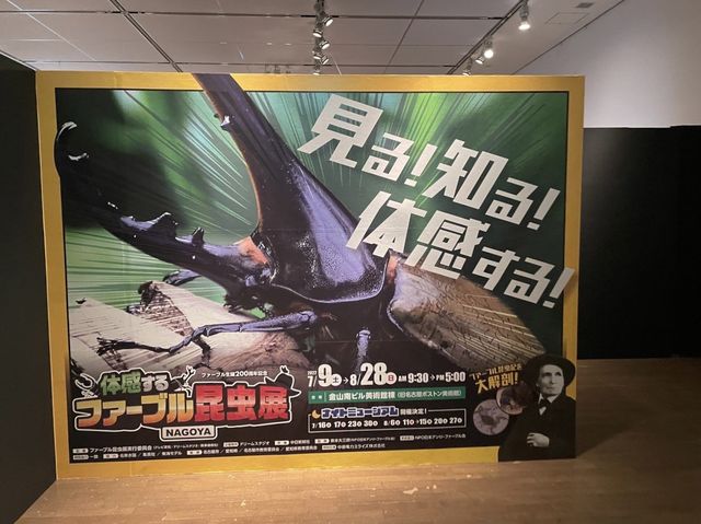 旧ボストン美術館【ファーブル昆虫展】①