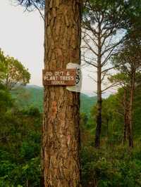 Margalla Hills Hiking Trail #3