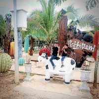 Rabbit Land in jengka pahang