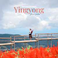 สวนดอกไม้ที่วิวสวยที่สุด | ม่อนแจ่ม ~ เชียงใหม่