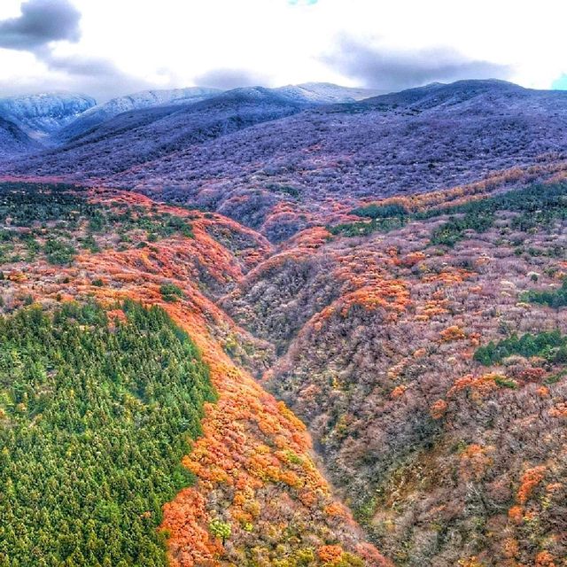 한라산홀릭 영실기암