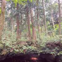 【山梨県】天然記念物　富岳風穴・氷穴🍃❄️✨