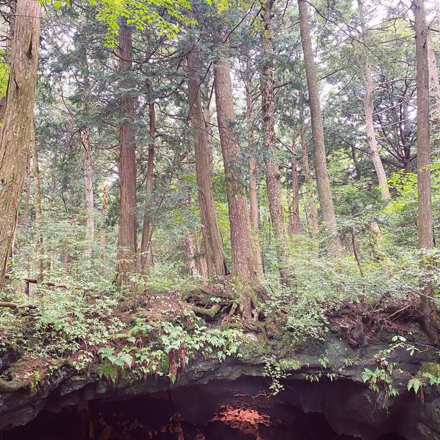 【山梨県】天然記念物　富岳風穴・氷穴🍃❄️✨