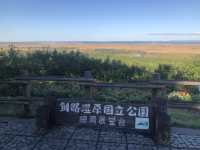【釧路】秋の絶景！黄金に光る秋の釧路湿原をご紹介