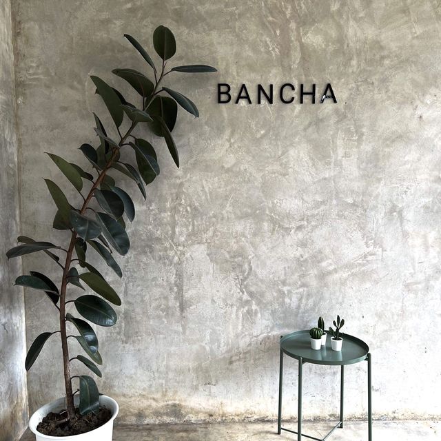 BANCHA