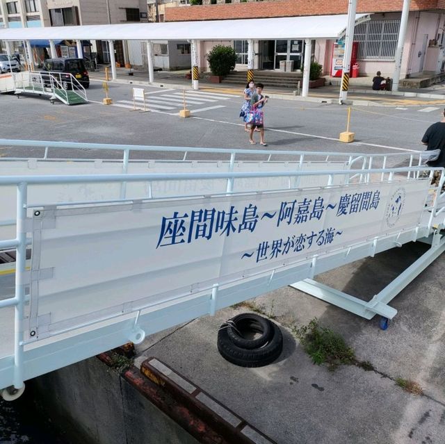【沖縄 那覇】フェリーで慶良間諸島へ✨
