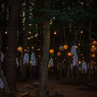 제주 “수목원길야시장”에서 즐기는 할로윈🎃
