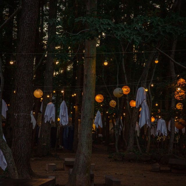 제주 “수목원길야시장”에서 즐기는 할로윈🎃