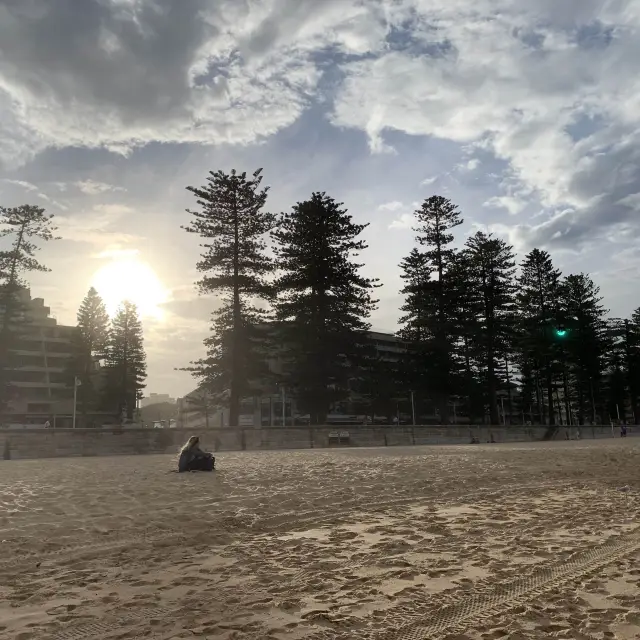 Manly beach