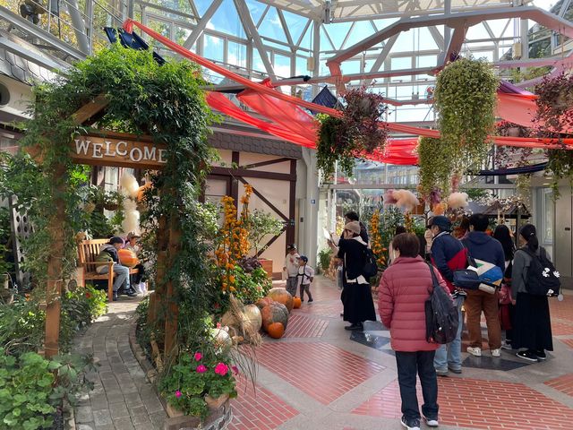 四季を楽しむ、神戸ハーブ園🌿