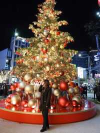 【表参道】クリスマスツリーが素敵！
