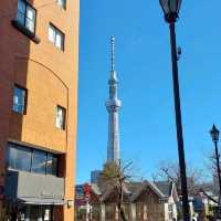 Sightseeing in Sumida River