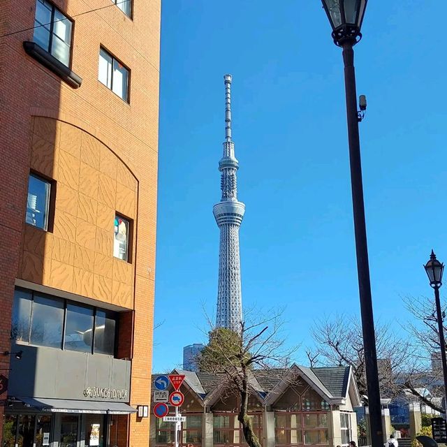 Sightseeing in Sumida River