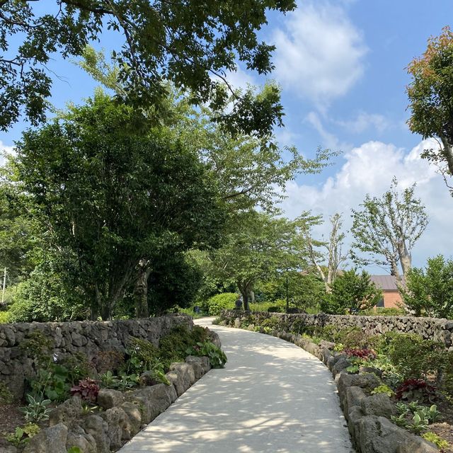 [제주] 까멜리아 힐 🌸, 그렇다고 수국만 있는 건 아닙니다?