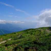 夏の八方尾根