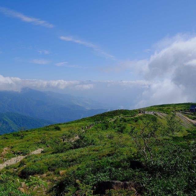 夏の八方尾根