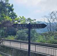 衛奕信徑第四段