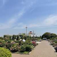 横浜の海の見える山下公園