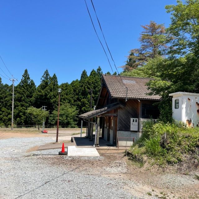 曽爾高原は緑の美しさがやばい！