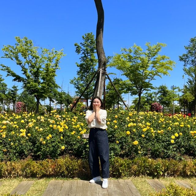 청라호수공원 장미축제, 로즈가든