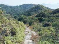 大嶼山分流