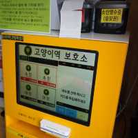 영흥도에 위치한 너무 귀여운 고양이역 카페