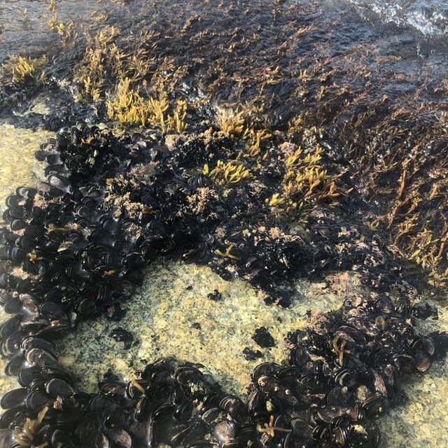양양 남애항에서 즐긴 물놀이🌊 그리고 횟집 추천!