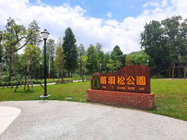 ［桃園］落羽松大道