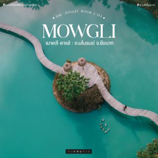 เ ม า ค ลี ค า เ ฟ่  ☕🌿 Mowgli the Jungle Book Ca