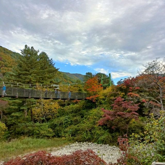 Garden with Fall colors 