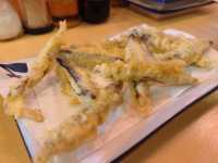 【宮崎】ディープな炉端焼き屋さん