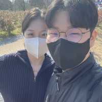 블루베리 농장으로 둘러쌓인 이천카페, 더반 올가닉