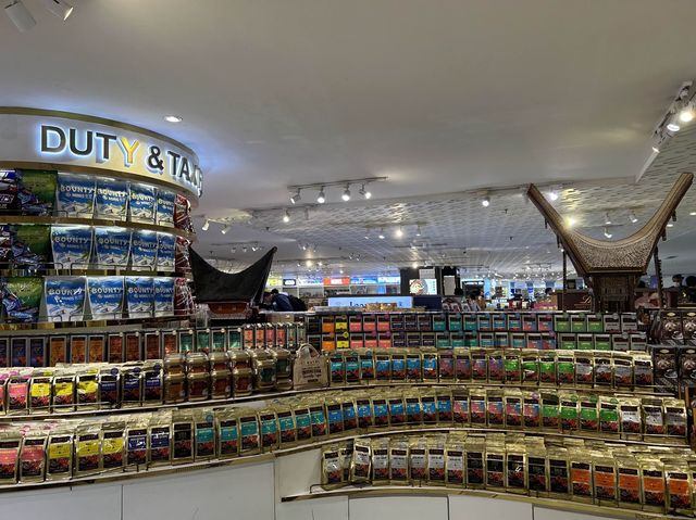 Modern Terminal 3 for International Trip 