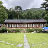속세에서 벗어나고 싶을 땐, 용문사 템플스테이🪷